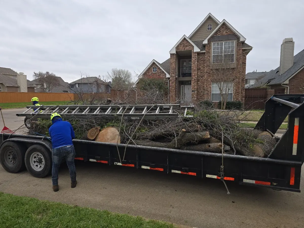 Expert Tree Fertilization with proper safety equipment in Tarrytown